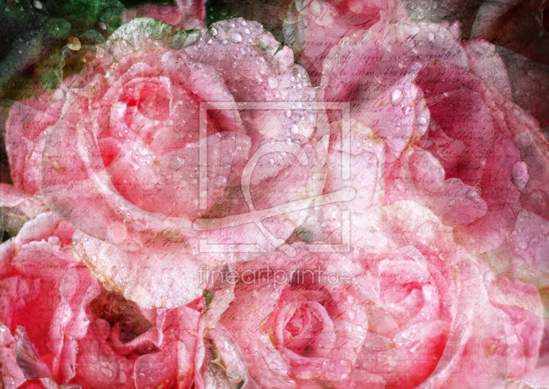 frei wählbarer Bildausschnitt für Ihr Bild auf Grußkarte