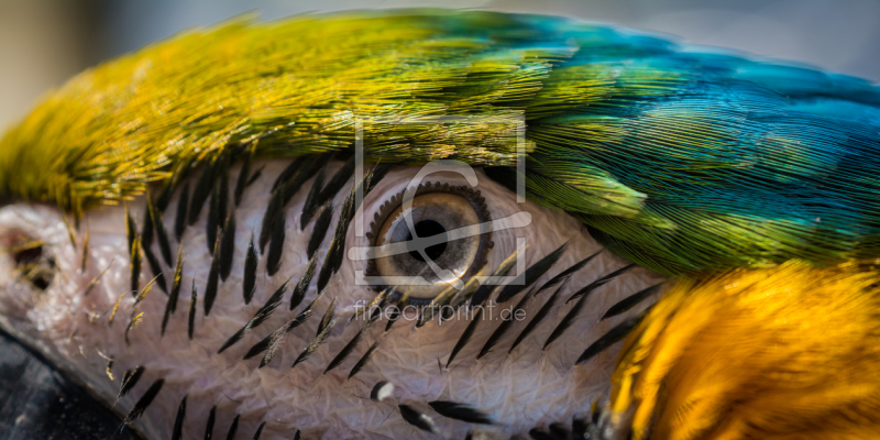 frei wählbarer Bildausschnitt für Ihr Bild auf Grußkarte