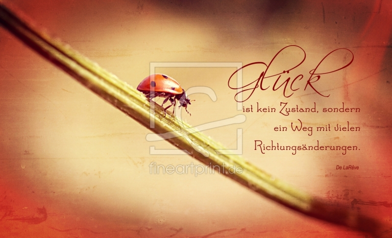 frei wählbarer Bildausschnitt für Ihr Bild auf Grußkarte