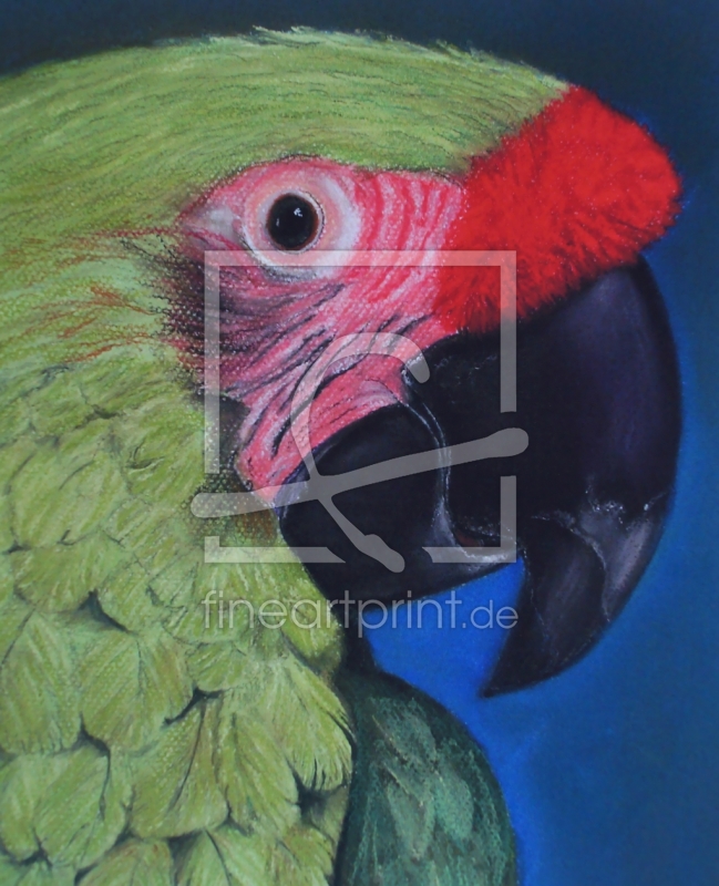 frei wählbarer Bildausschnitt für Ihr Bild auf Grußkarte