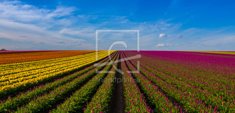 frei wählbarer Bildausschnitt für Ihr Bild auf Grußkarte