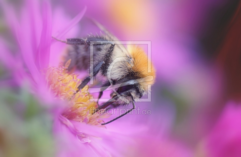 frei wählbarer Bildausschnitt für Ihr Bild auf Grußkarte