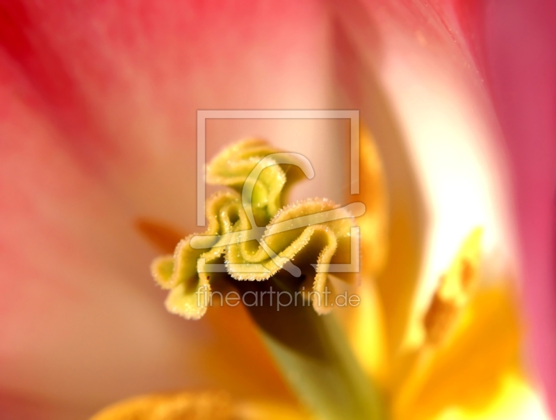 frei wählbarer Bildausschnitt für Ihr Bild auf Grußkarte