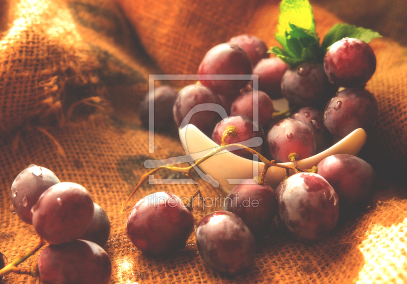 frei wählbarer Bildausschnitt für Ihr Bild auf Grußkarte