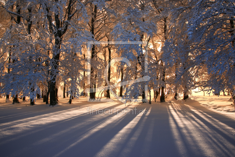 frei wählbarer Bildausschnitt für Ihr Bild auf Grußkarte