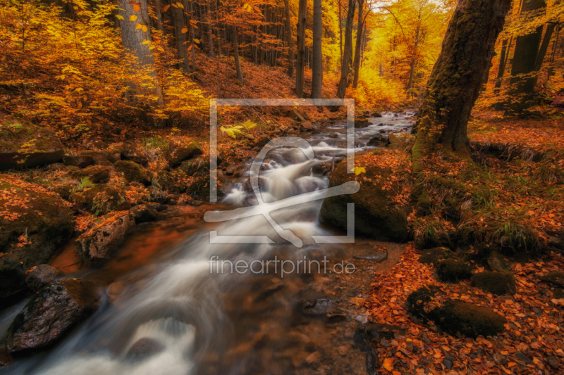 frei wählbarer Bildausschnitt für Ihr Bild auf Grußkarte