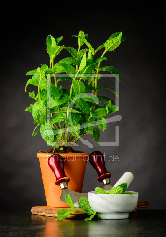 frei wählbarer Bildausschnitt für Ihr Bild auf Grußkarte