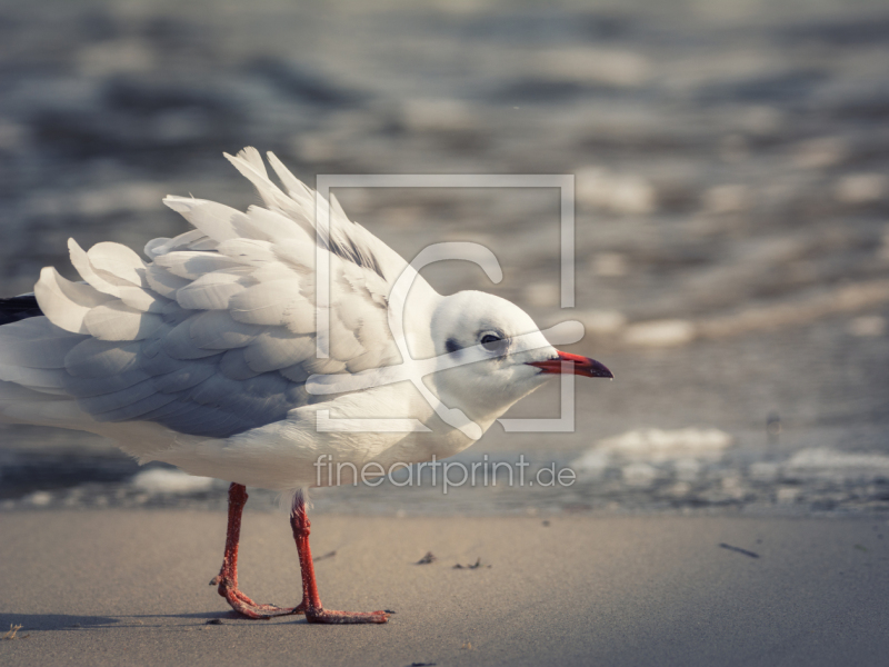 frei wählbarer Bildausschnitt für Ihr Bild auf Grußkarte