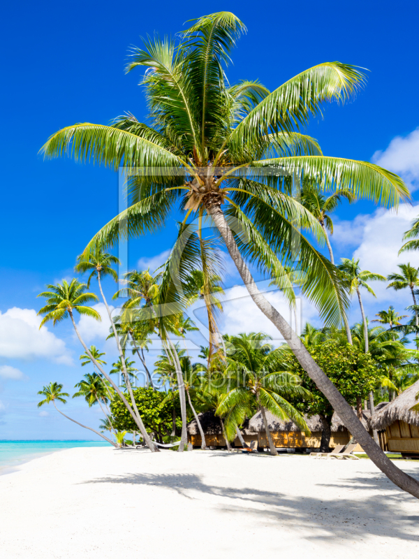 frei wählbarer Bildausschnitt für Ihr Bild auf Grußkarte