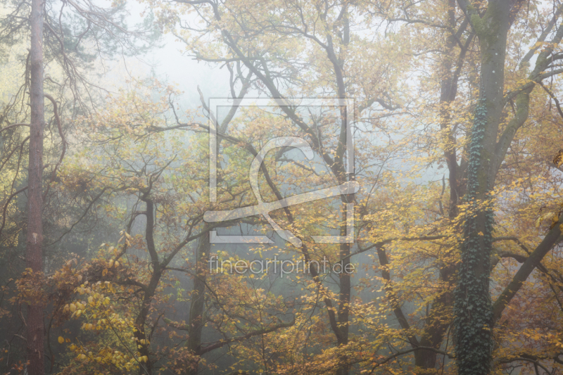 frei wählbarer Bildausschnitt für Ihr Bild auf Grußkarte