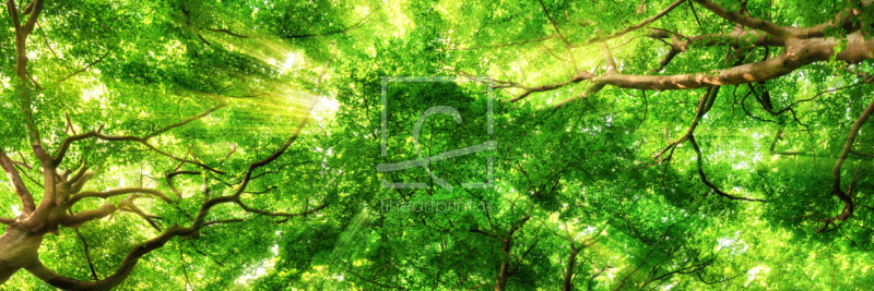 frei wählbarer Bildausschnitt für Ihr Bild auf Grußkarte