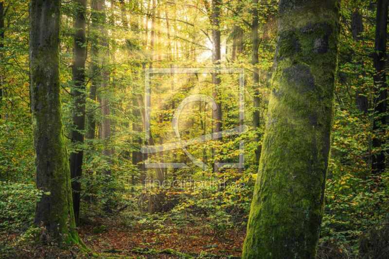frei wählbarer Bildausschnitt für Ihr Bild auf Grußkarte
