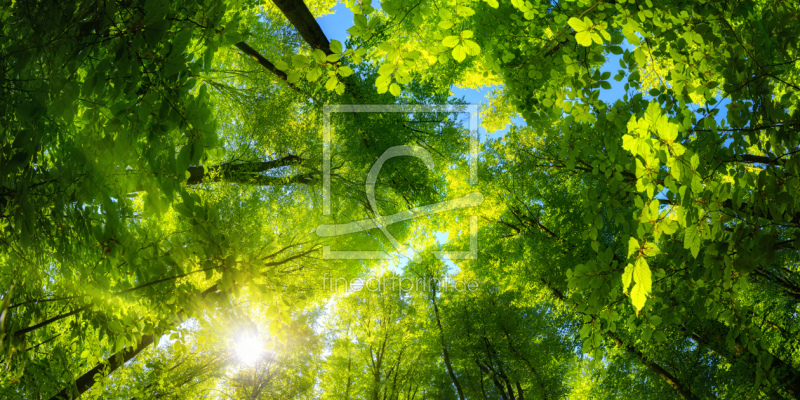 frei wählbarer Bildausschnitt für Ihr Bild auf Grußkarte