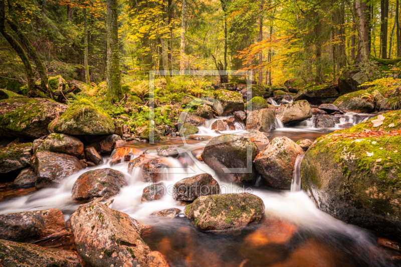 frei wählbarer Bildausschnitt für Ihr Bild auf Grußkarte