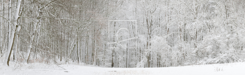 frei wählbarer Bildausschnitt für Ihr Bild auf Grußkarte