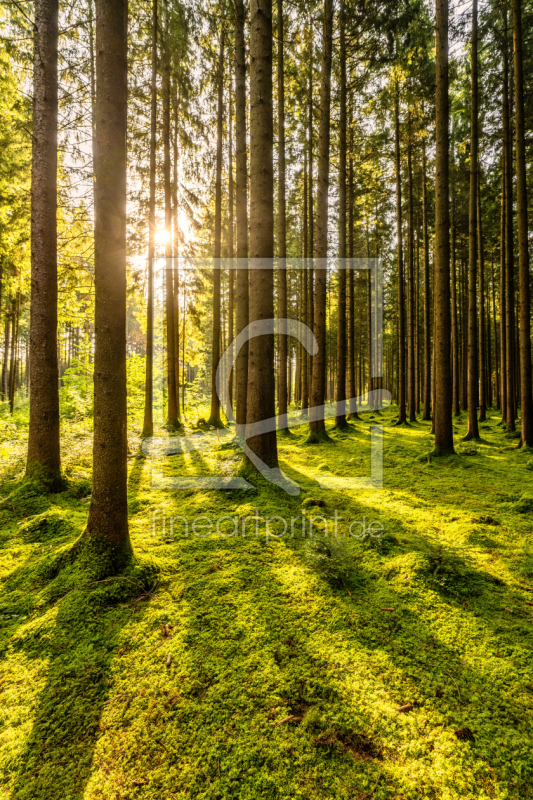 frei wählbarer Bildausschnitt für Ihr Bild auf Grußkarte