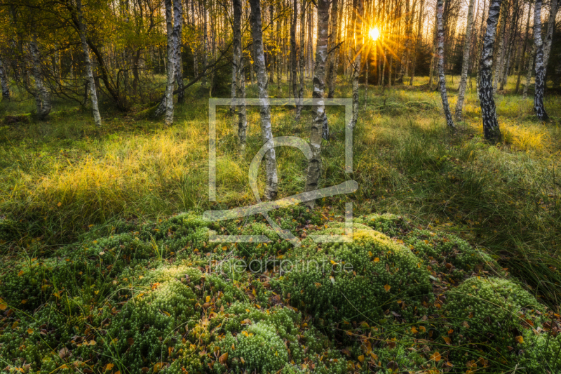 frei wählbarer Bildausschnitt für Ihr Bild auf Grußkarte