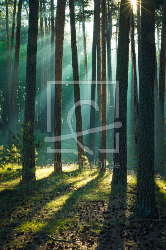 frei wählbarer Bildausschnitt für Ihr Bild auf Grußkarte