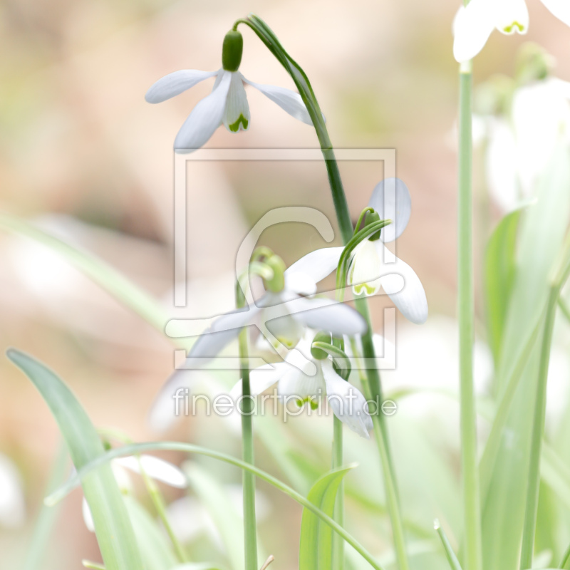 frei wählbarer Bildausschnitt für Ihr Bild auf Grußkarte