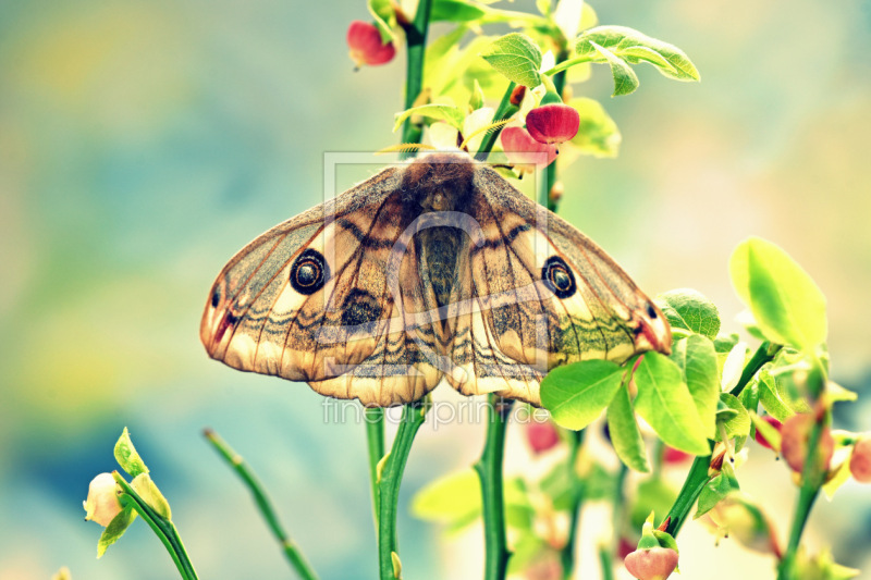 frei wählbarer Bildausschnitt für Ihr Bild auf Grußkarte