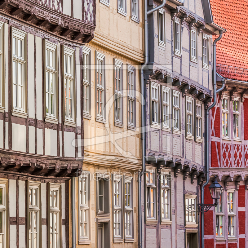 frei wählbarer Bildausschnitt für Ihr Bild auf Grußkarte