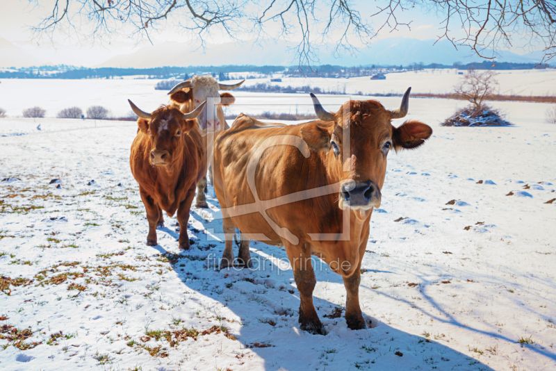 frei wählbarer Bildausschnitt für Ihr Bild auf Grußkarte