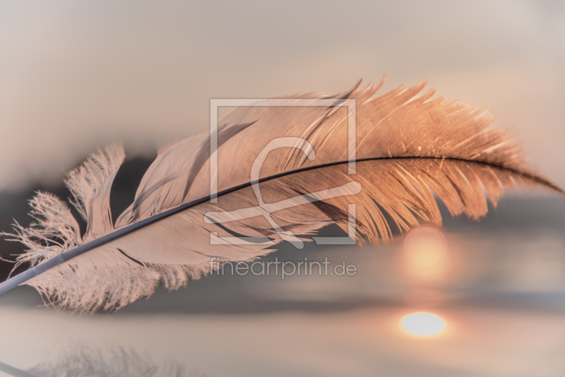 frei wählbarer Bildausschnitt für Ihr Bild auf Grußkarte