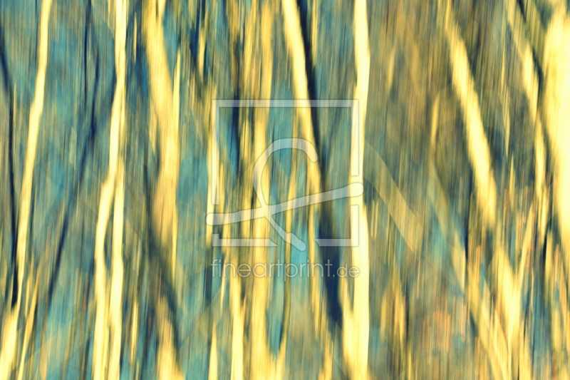 frei wählbarer Bildausschnitt für Ihr Bild auf Grußkarte