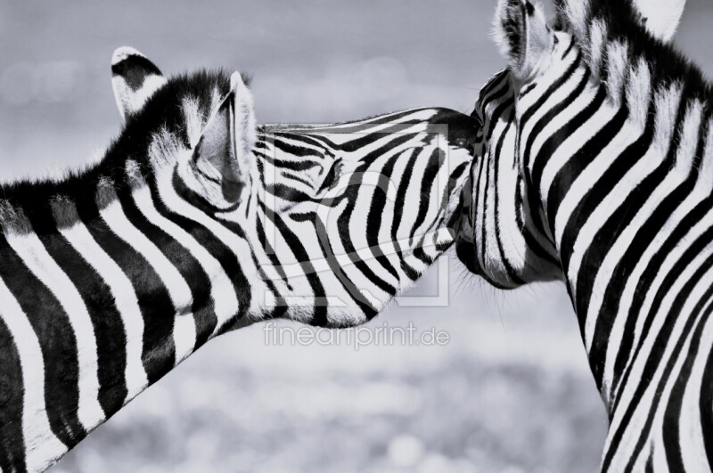 frei wählbarer Bildausschnitt für Ihr Bild auf Grußkarte