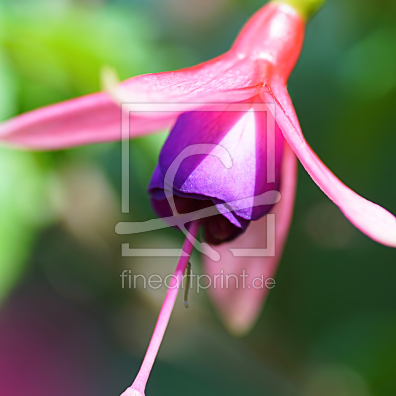 frei wählbarer Bildausschnitt für Ihr Bild auf Grußkarte