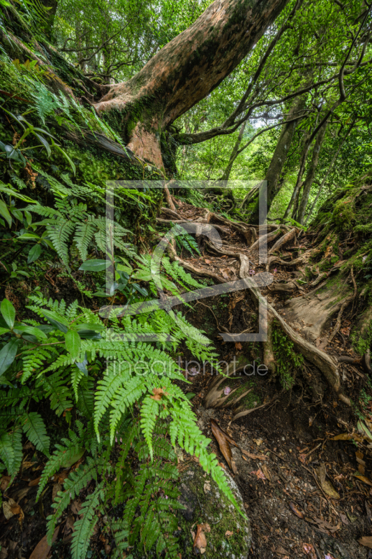 frei wählbarer Bildausschnitt für Ihr Bild auf Grußkarte