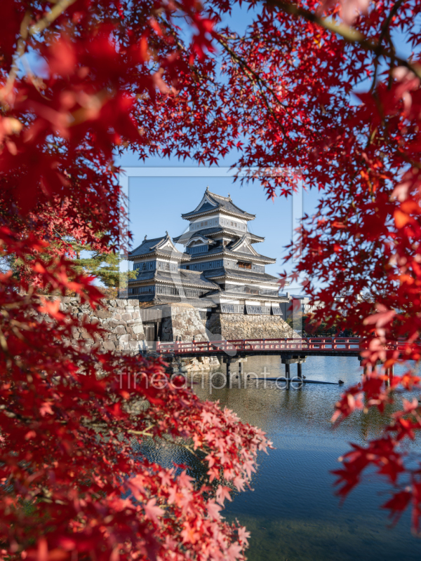 frei wählbarer Bildausschnitt für Ihr Bild auf Grußkarte