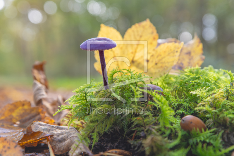 frei wählbarer Bildausschnitt für Ihr Bild auf Grußkarte