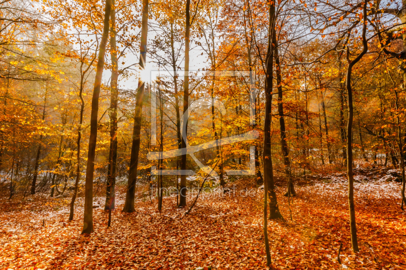 frei wählbarer Bildausschnitt für Ihr Bild auf Grußkarte
