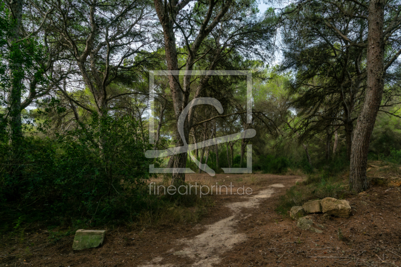 frei wählbarer Bildausschnitt für Ihr Bild auf Grußkarte