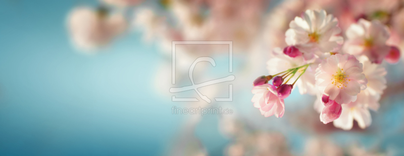 frei wählbarer Bildausschnitt für Ihr Bild auf Grußkarte