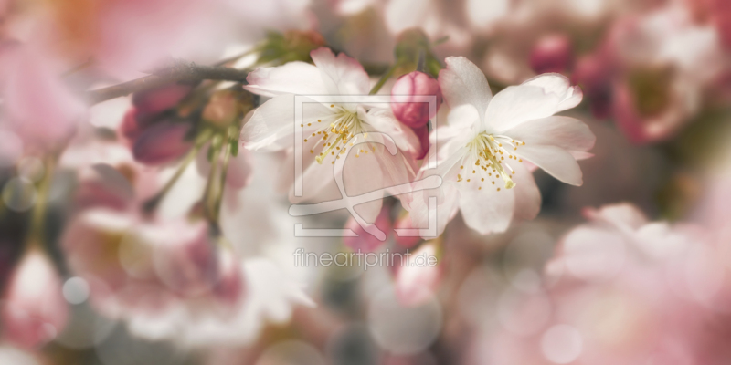 frei wählbarer Bildausschnitt für Ihr Bild auf Grußkarte