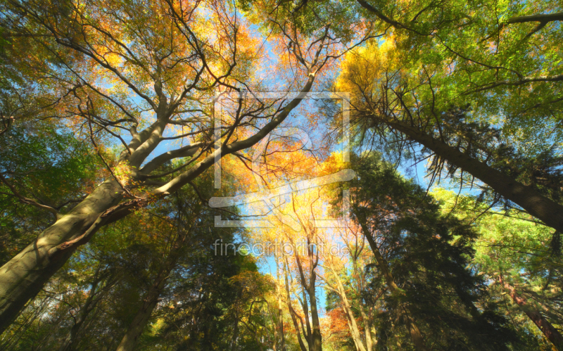 frei wählbarer Bildausschnitt für Ihr Bild auf Grußkarte