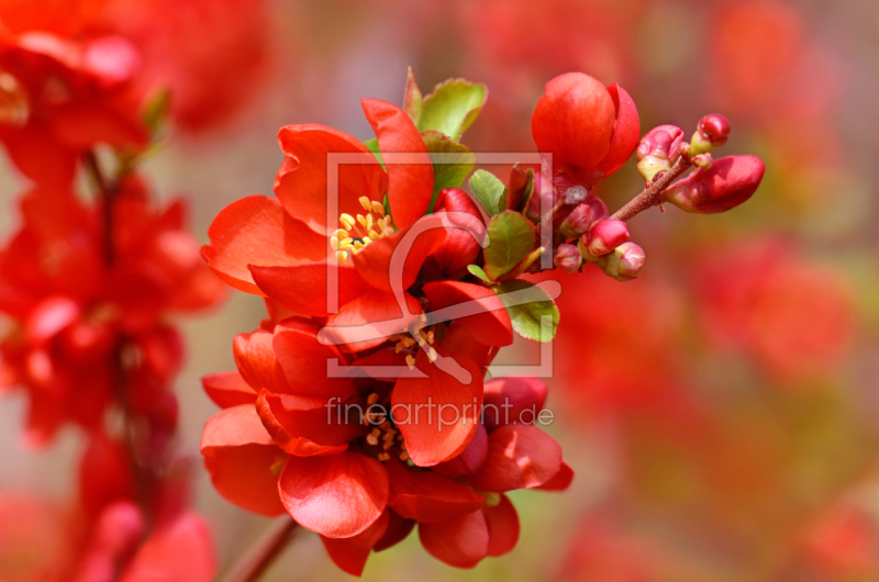 frei wählbarer Bildausschnitt für Ihr Bild auf Grußkarte