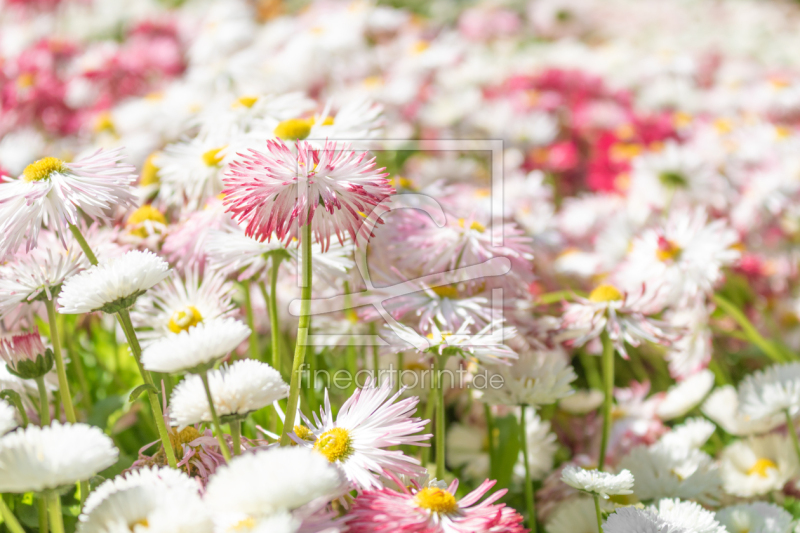 frei wählbarer Bildausschnitt für Ihr Bild auf Grußkarte