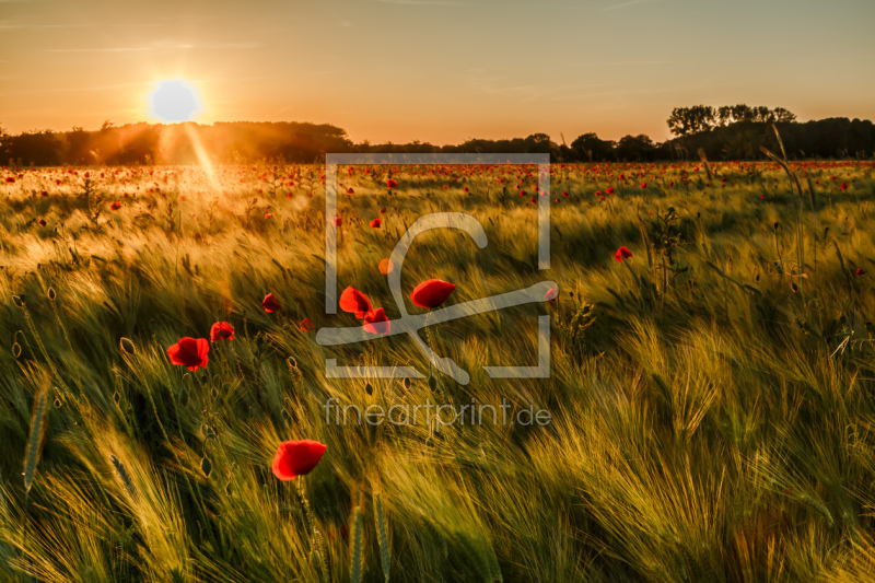 frei wählbarer Bildausschnitt für Ihr Bild auf Grußkarte