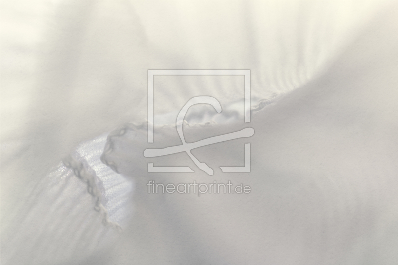 frei wählbarer Bildausschnitt für Ihr Bild auf Grußkarte