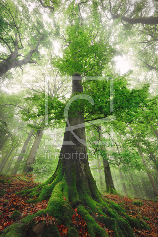 frei wählbarer Bildausschnitt für Ihr Bild auf Grußkarte