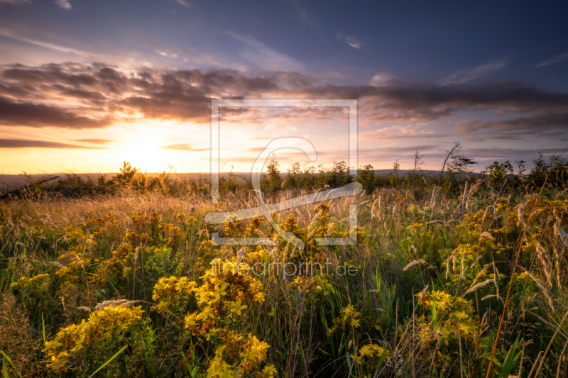 frei wählbarer Bildausschnitt für Ihr Bild auf Grußkarte