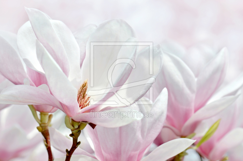 frei wählbarer Bildausschnitt für Ihr Bild auf Grußkarte