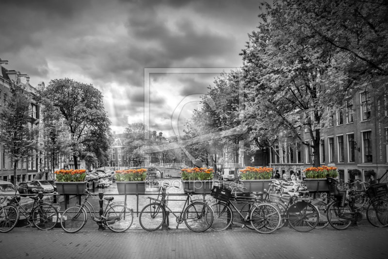 frei wählbarer Bildausschnitt für Ihr Bild auf Grußkarte