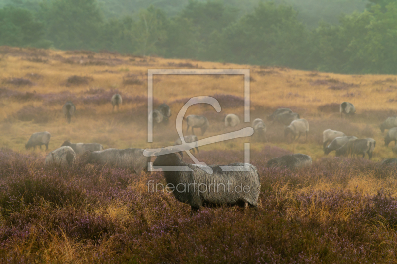 frei wählbarer Bildausschnitt für Ihr Bild auf Grußkarte