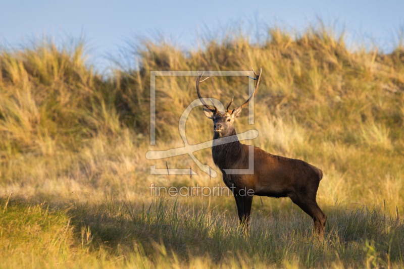 frei wählbarer Bildausschnitt für Ihr Bild auf Grußkarte