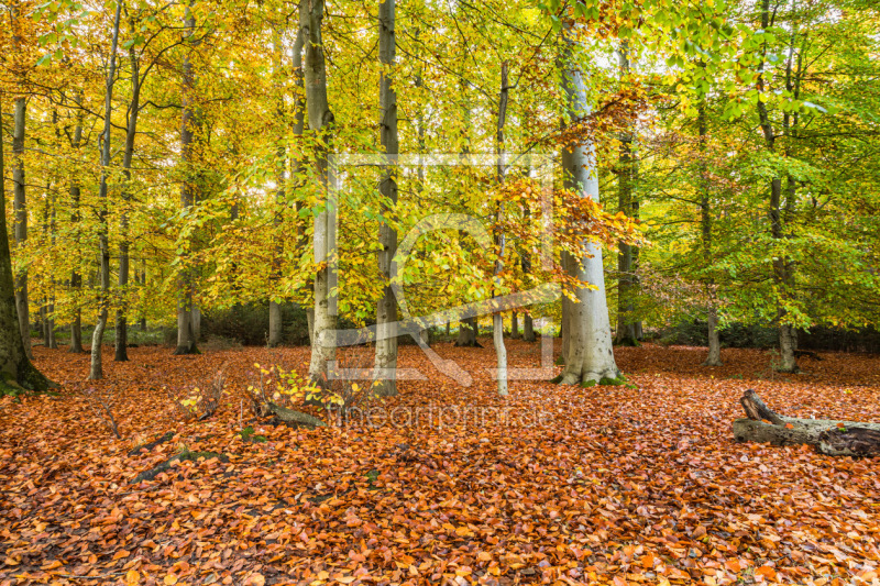 frei wählbarer Bildausschnitt für Ihr Bild auf Grußkarte