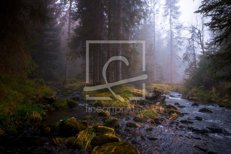 frei wählbarer Bildausschnitt für Ihr Bild auf Grußkarte